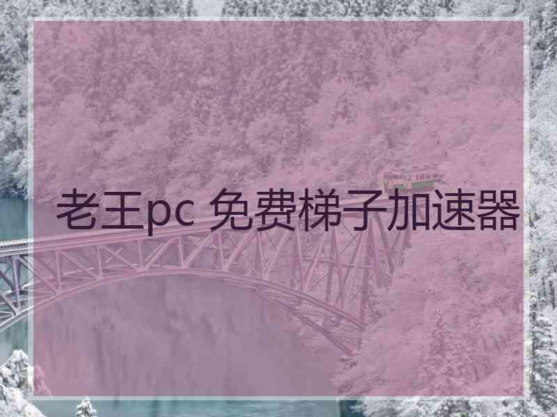老王pc 免费梯子加速器