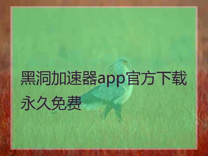 黑洞加速器app官方下载永久免费
