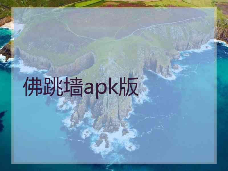 佛跳墙apk版