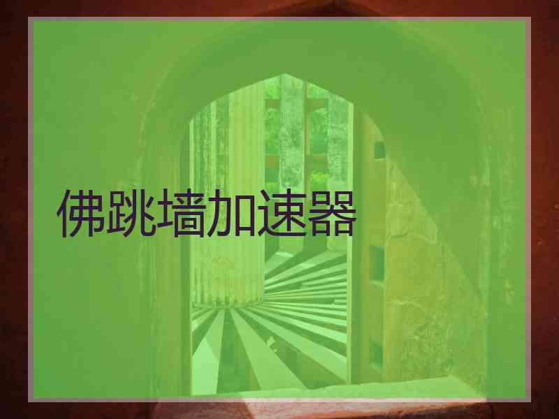佛跳墙加速器