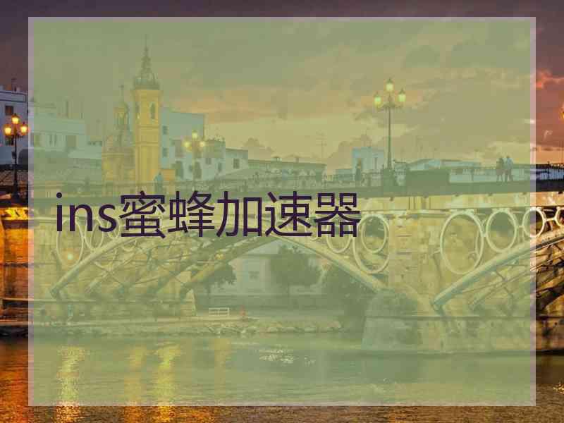 ins蜜蜂加速器