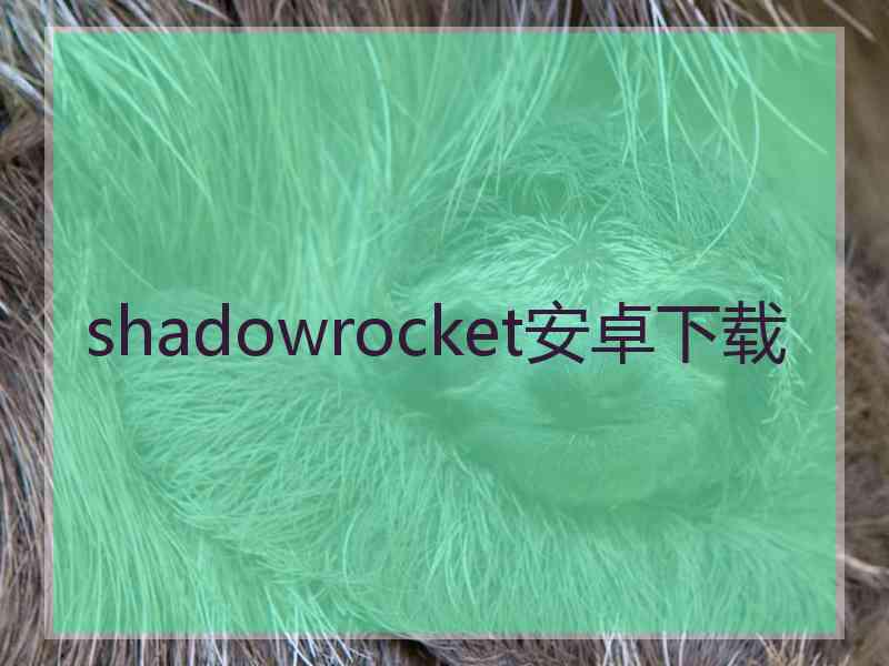 shadowrocket安卓下载
