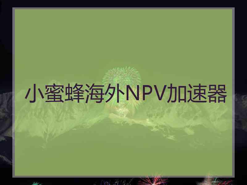小蜜蜂海外NPV加速器
