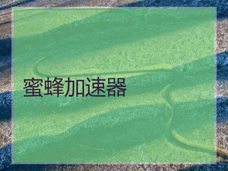 蜜蜂加速器