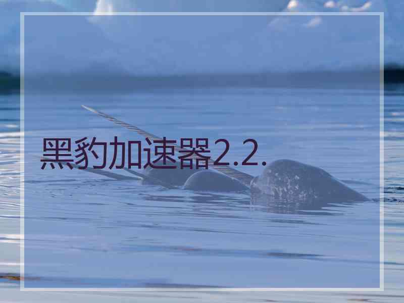 黑豹加速器2.2.