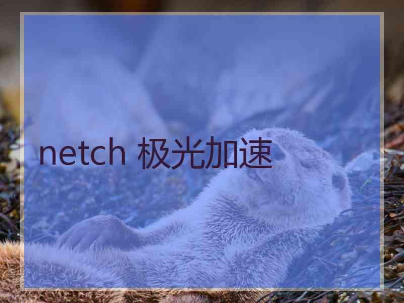 netch 极光加速