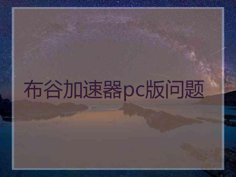 布谷加速器pc版问题