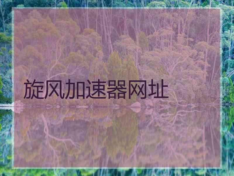 旋风加速器网址