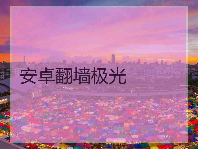 安卓翻墙极光