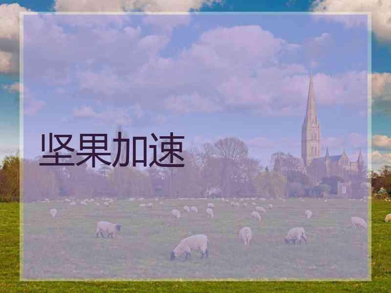 坚果加速
