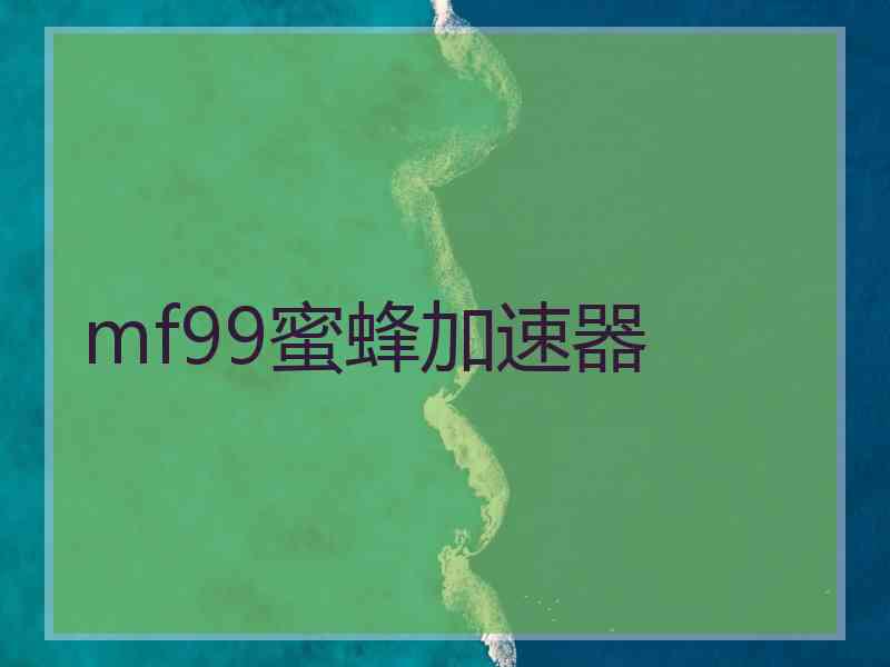 mf99蜜蜂加速器