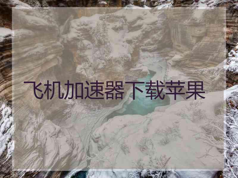 飞机加速器下载苹果