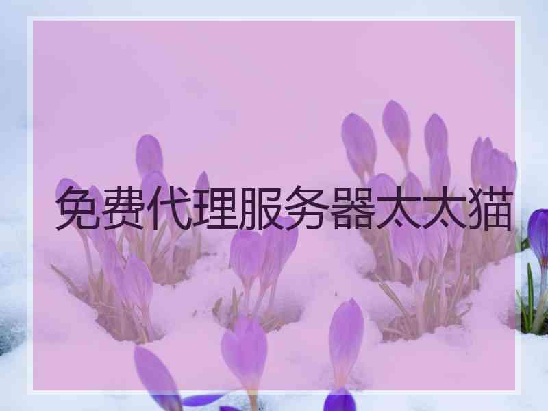 免费代理服务器太太猫