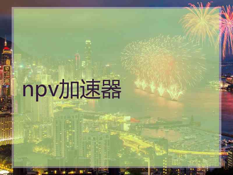 npv加速器