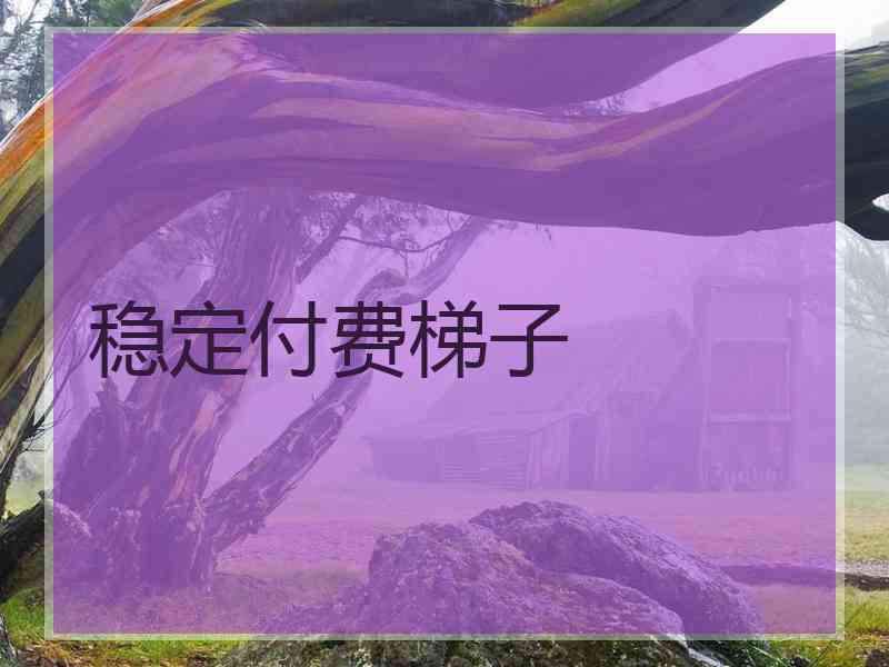 稳定付费梯子
