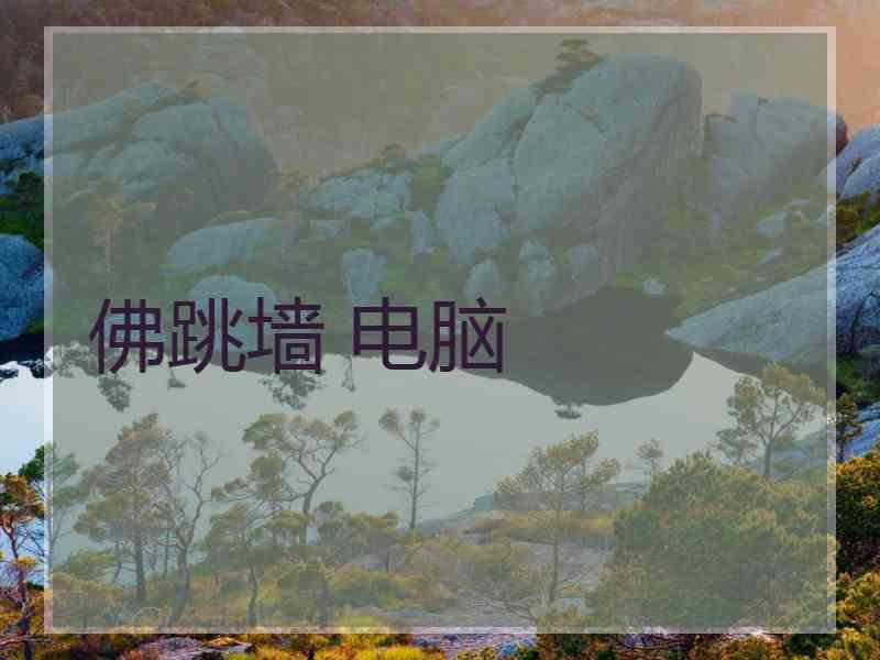 佛跳墙 电脑