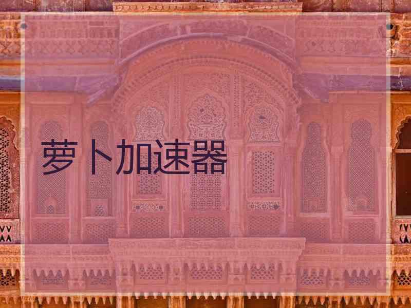 萝卜加速器