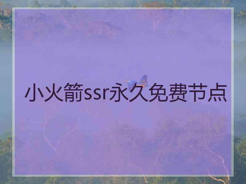 小火箭ssr永久免费节点