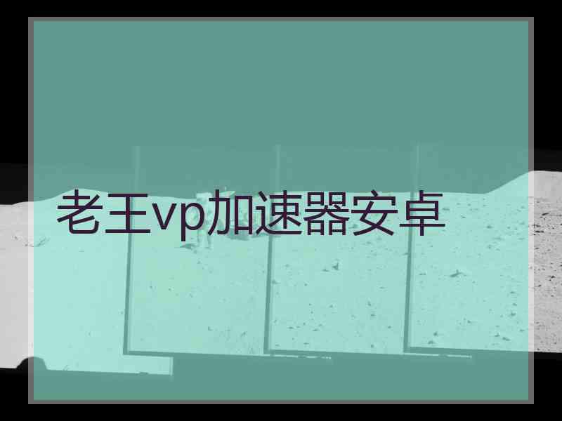 老王vp加速器安卓