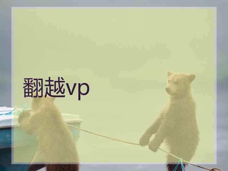 翻越vp
