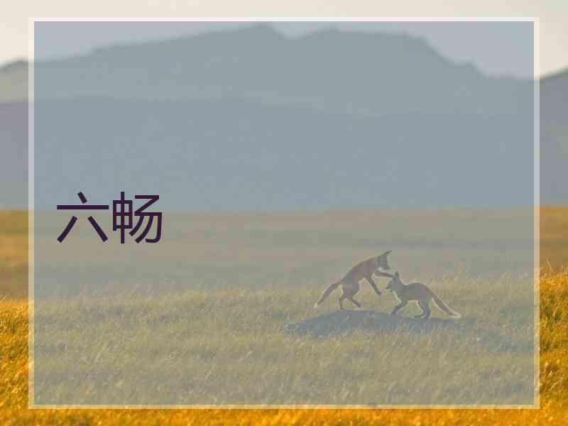 六畅