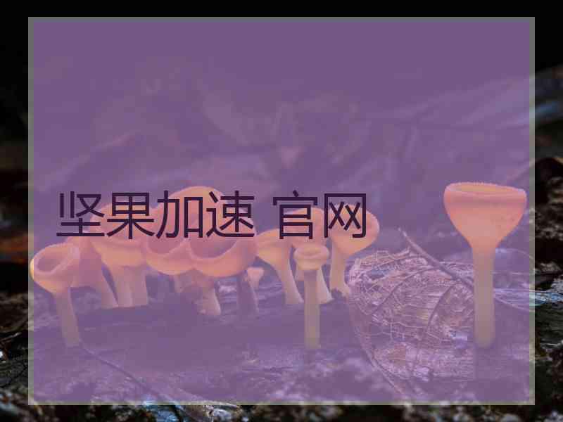 坚果加速 官网