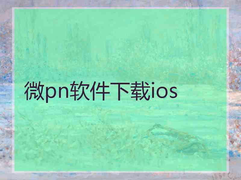 微pn软件下载ios