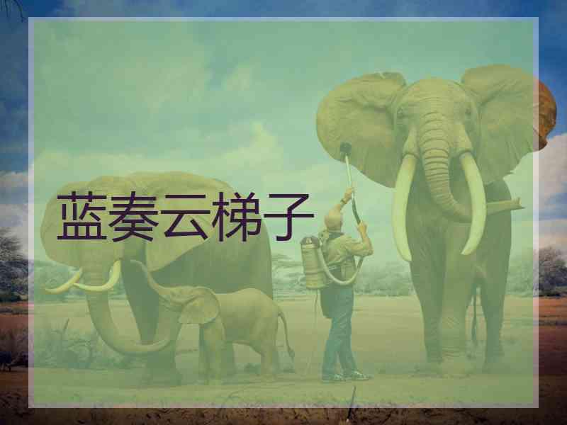 蓝奏云梯子