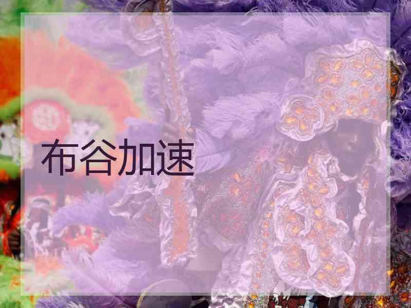 布谷加速