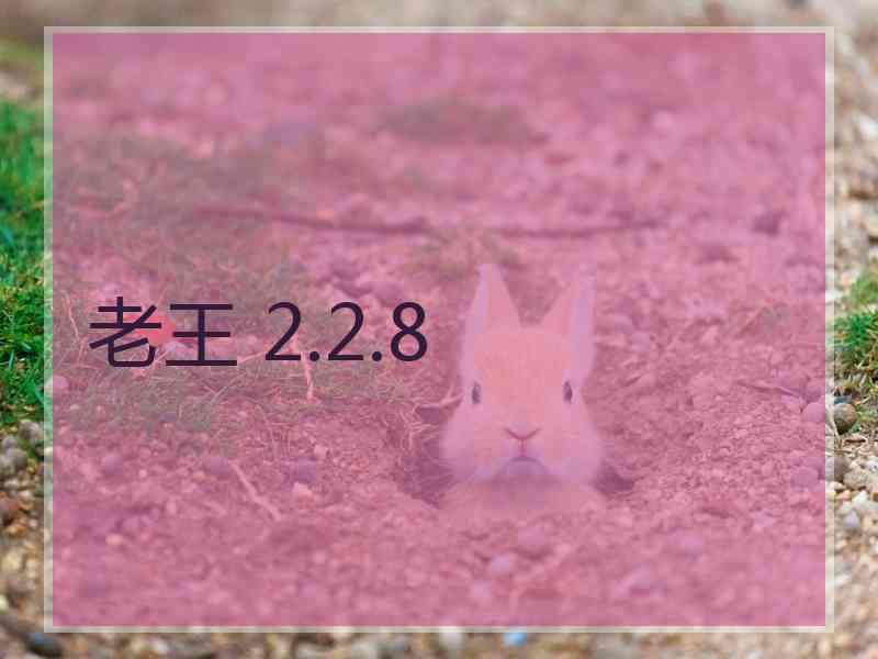 老王 2.2.8