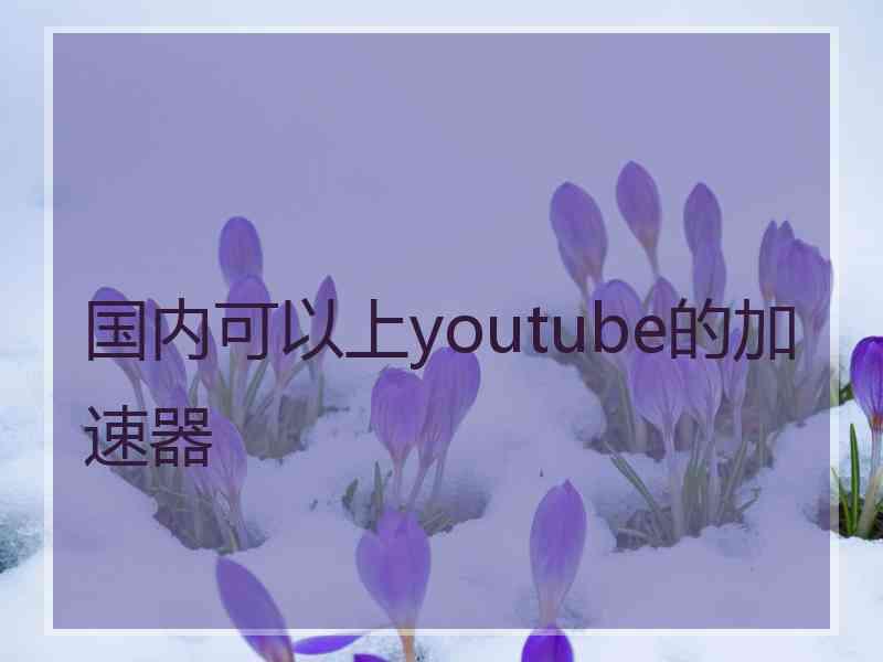 国内可以上youtube的加速器