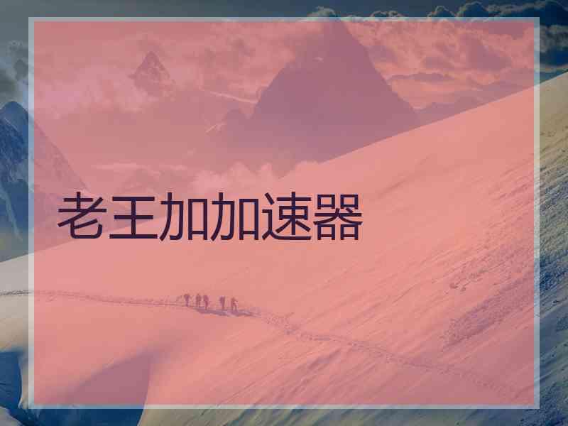老王加加速器