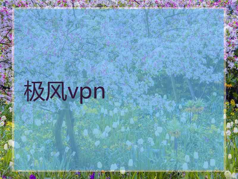 极风vpn