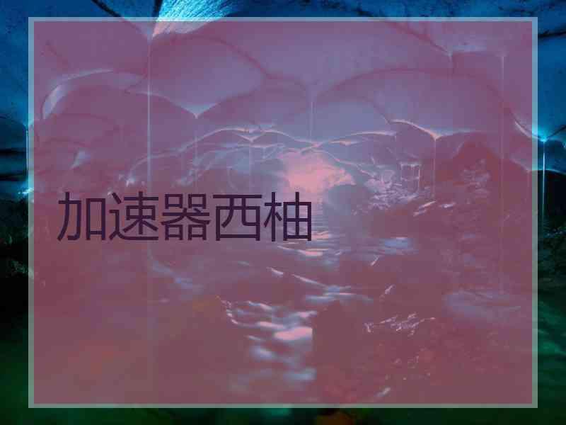 加速器西柚