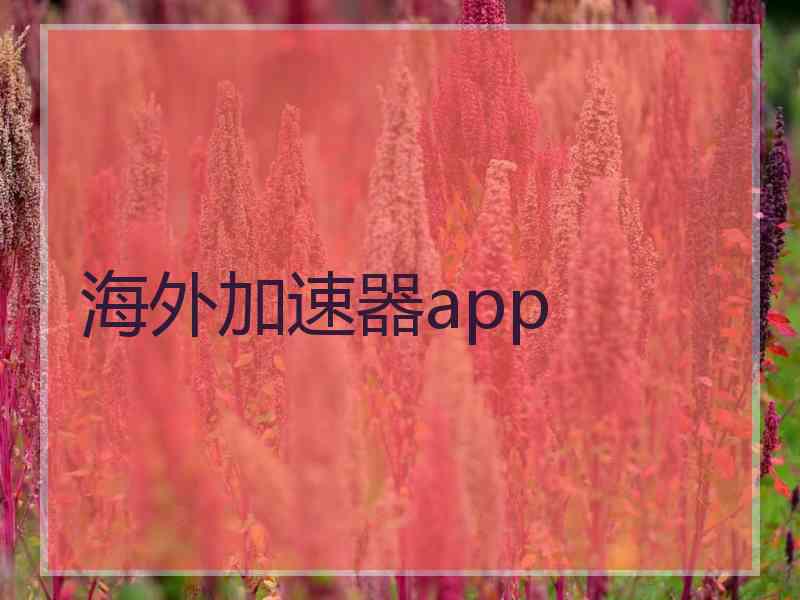 海外加速器app