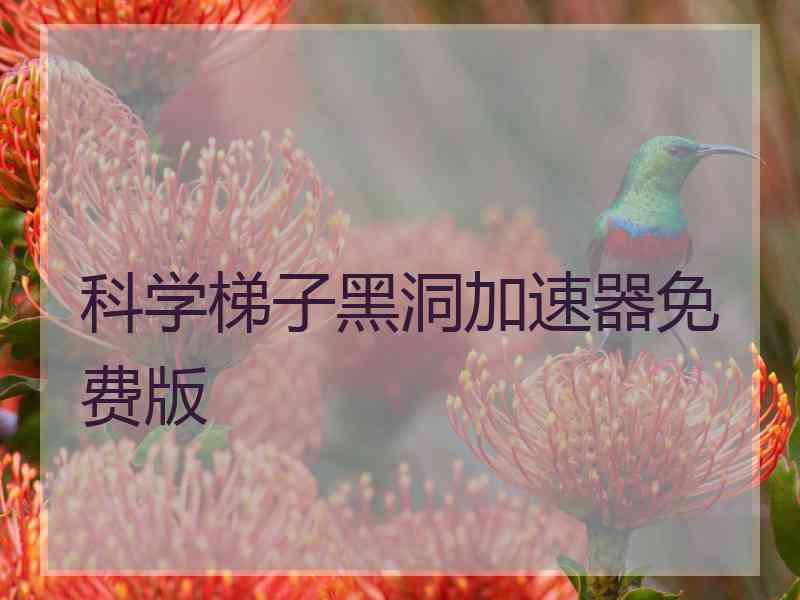 科学梯子黑洞加速器免费版