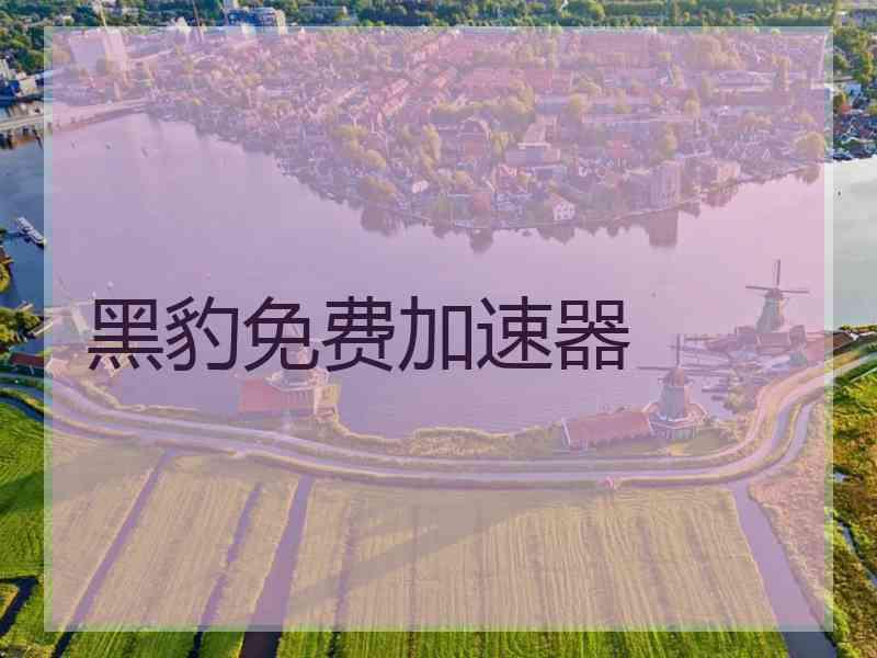 黑豹免费加速器