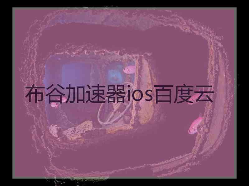 布谷加速器ios百度云