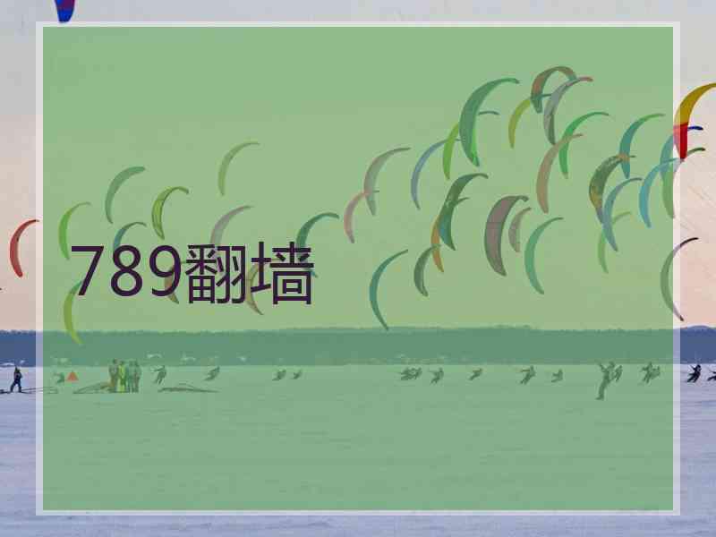 789翻墙