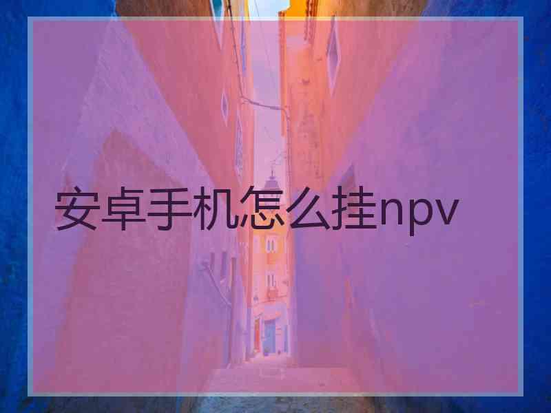 安卓手机怎么挂npv