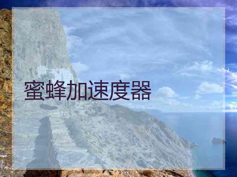 蜜蜂加速度器