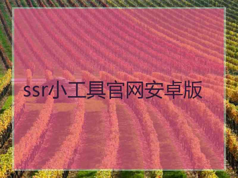 ssr小工具官网安卓版