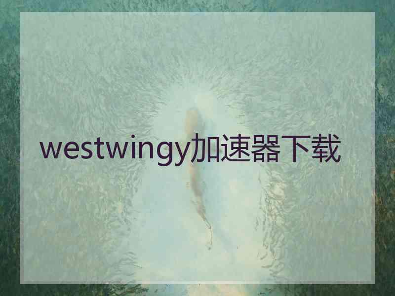 westwingy加速器下载