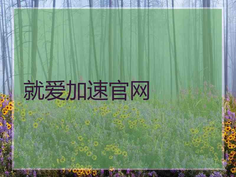 就爱加速官网