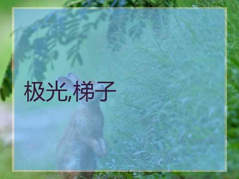 极光,梯子