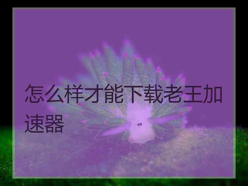 怎么样才能下载老王加速器