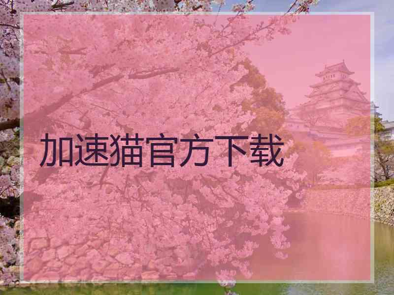 加速猫官方下载