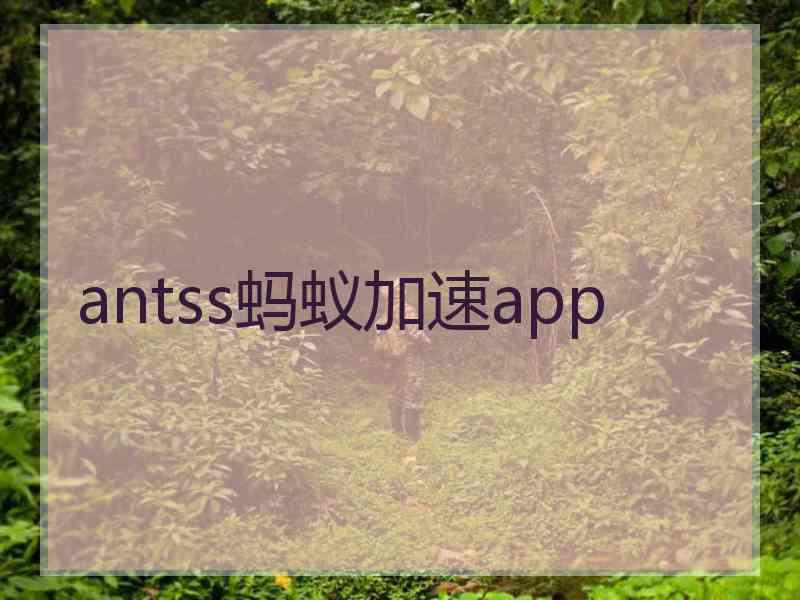 antss蚂蚁加速app