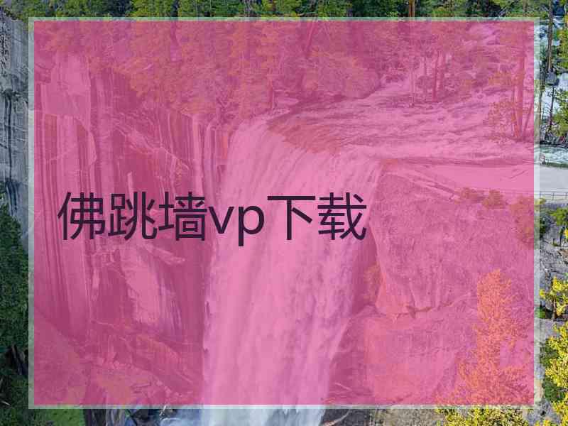 佛跳墙vp下载