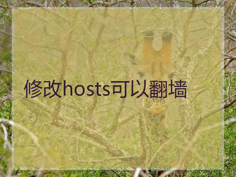 修改hosts可以翻墙